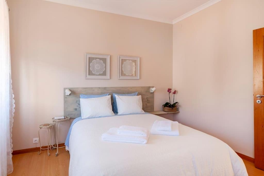 Charming 120M² In Historic Center Lägenhet Lamego Exteriör bild