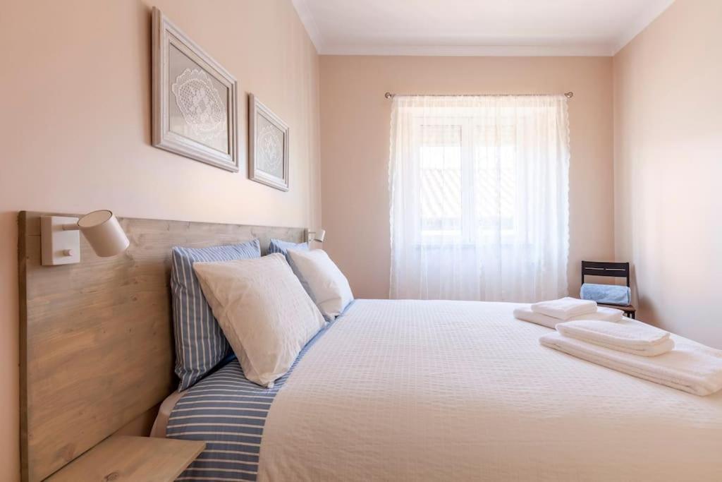 Charming 120M² In Historic Center Lägenhet Lamego Exteriör bild