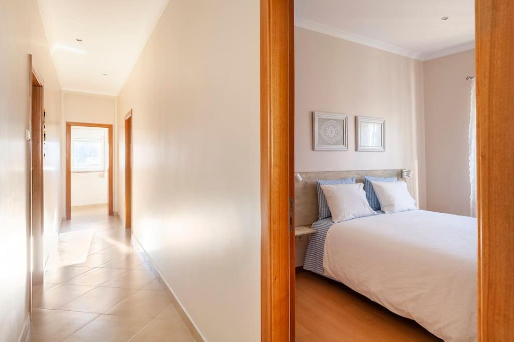Charming 120M² In Historic Center Lägenhet Lamego Exteriör bild